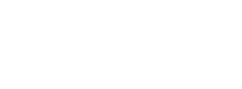 Dinanti Logo